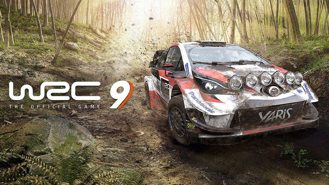 WRC 9 1