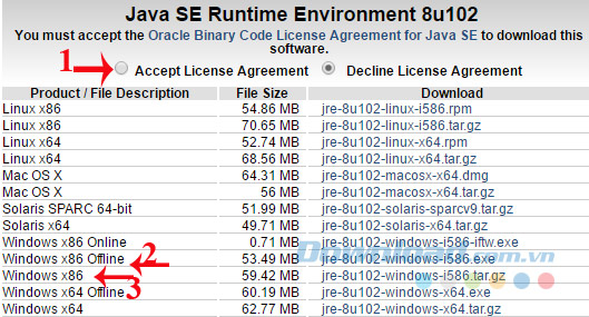 Java Runtime Environment 3