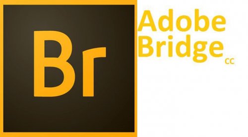 Hướng dẫn tải và cài đặt Adobe Bridge CC 2015 full crack