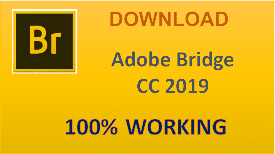 Hướng dẫn tải và cài đặt Adobe Bridge CC 2019  full crack