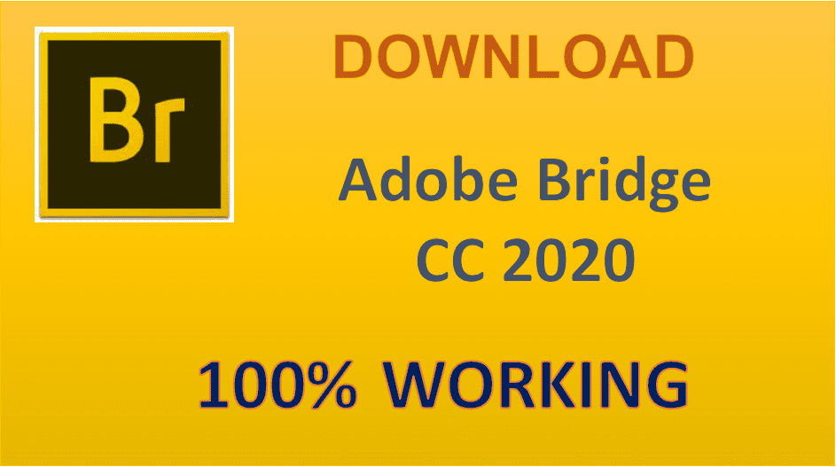 Hướng dẫn tải và cài đặt Adobe Bridge CC 2020 full crack