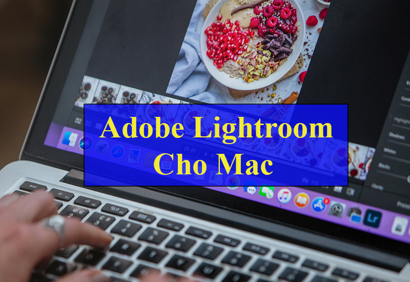 Hướng dẫn tải và cài đặt Adobe Lightroom Classic 2022 macOS [M1 & Intel]