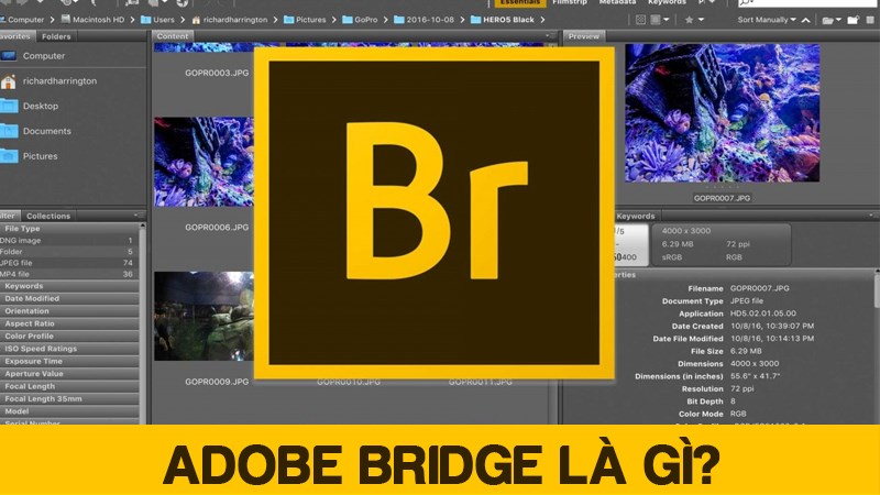 Hướng dẫn tải và cài đặt Adobe Bridge tất cả các phiên bản full crack