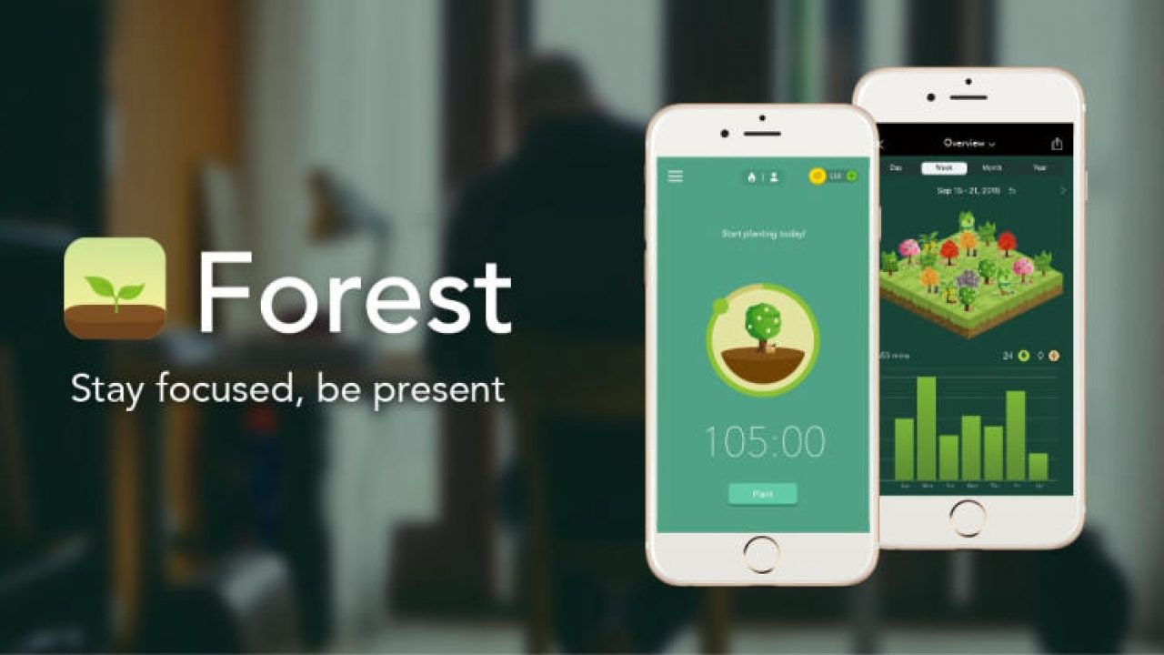 Hướng dẫn tải và cài đặt Forest: Stay focused cho Android 